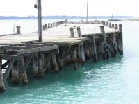 Albums/20060200-New Zealand 2006/20060316-Twiz/13